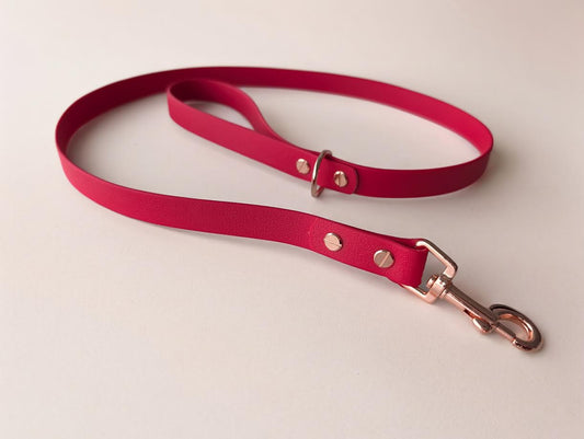 willabean dogleads dogcollars winnieclaspdogcollar winniedoglead hugodogcollar hugodoglead
