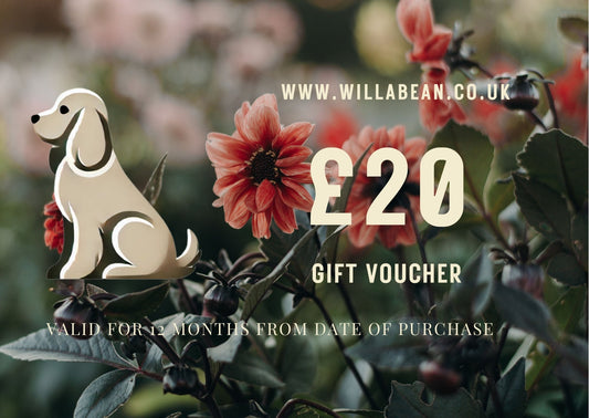 #willabean #dogleads #dogcollars #winnieclaspdogcollar #winniedoglead #hugodogcollar #hugodoglead