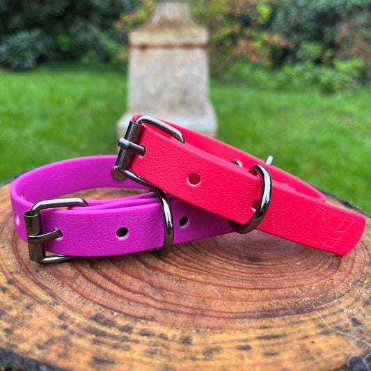 #willabean #dogleads #dogcollars #winnieclaspdogcollar #winniedoglead #hugodogcollar #hugodoglead