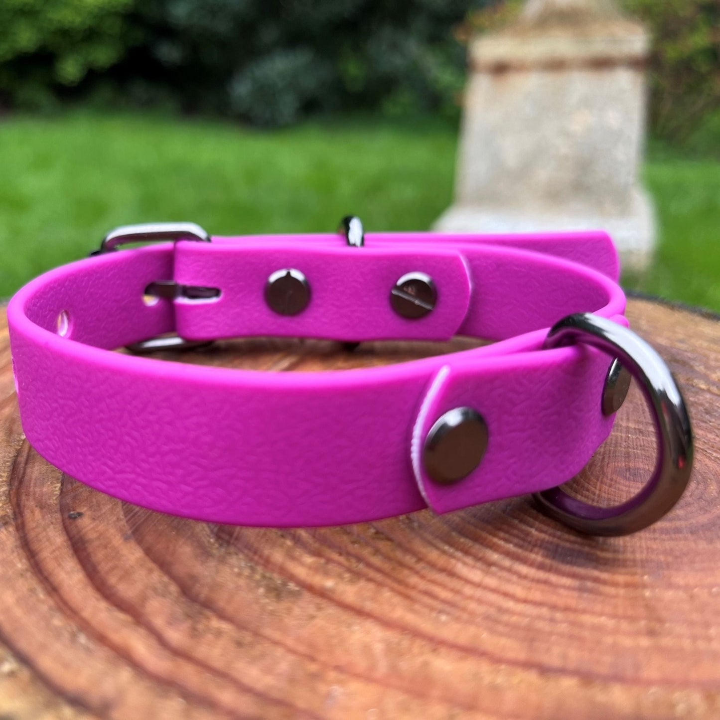 #willabean #dogleads #dogcollars #winnieclaspdogcollar #winniedoglead #hugodogcollar #hugodoglead