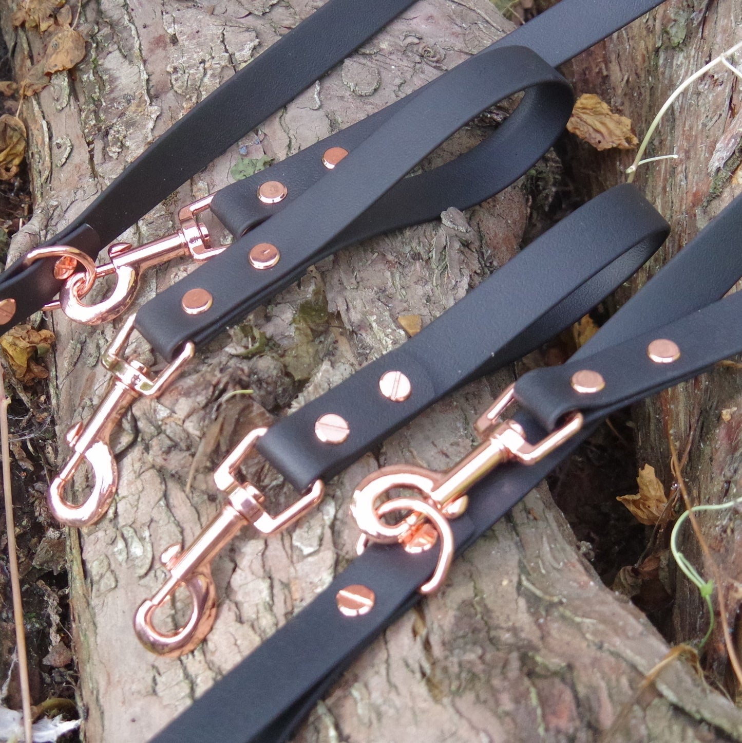 #willabean #dogleads #dogcollars #winnieclaspdogcollar #winniedoglead #hugodogcollar #hugodoglead