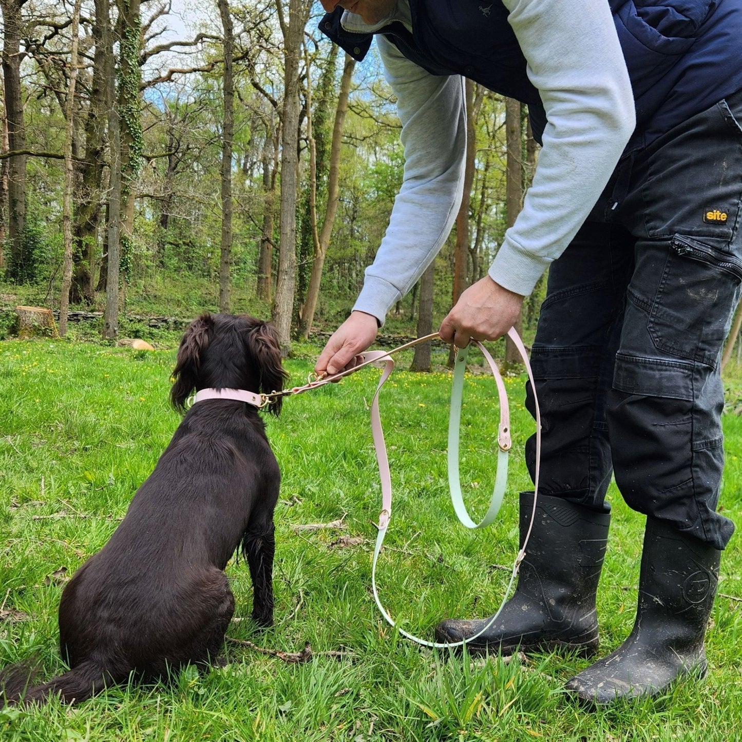 #willabean #dogleads #dogcollars #winnieclaspdogcollar #winniedoglead #hugodogcollar #hugodoglead