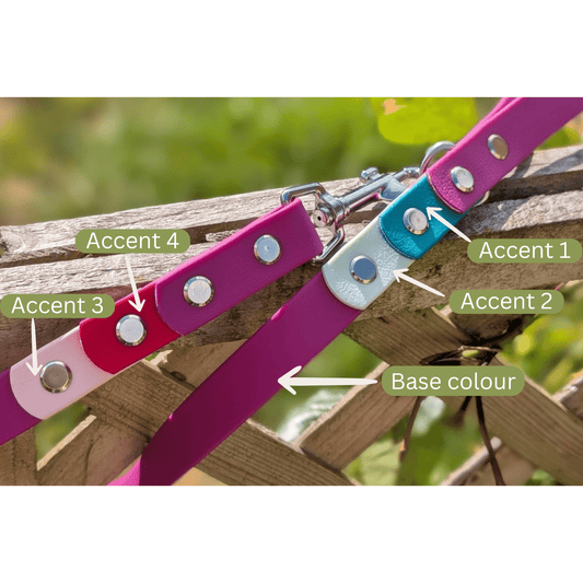 willabean dogleads dogcollars winnieclaspdogcollar winniedoglead hugodogcollar hugodoglead