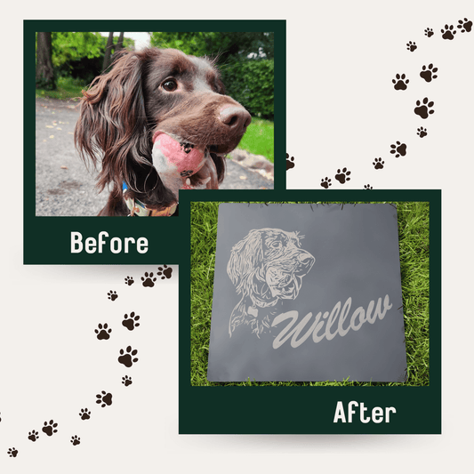 #willabean #dogleads #dogcollars #winnieclaspdogcollar #winniedoglead #hugodogcollar #hugodoglead