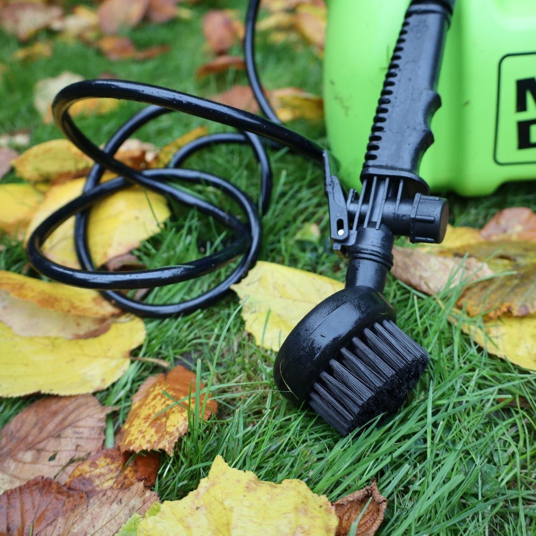 #willabean #dogleads #dogcollars #winnieclaspdogcollar #winniedoglead #hugodogcollar #hugodoglead