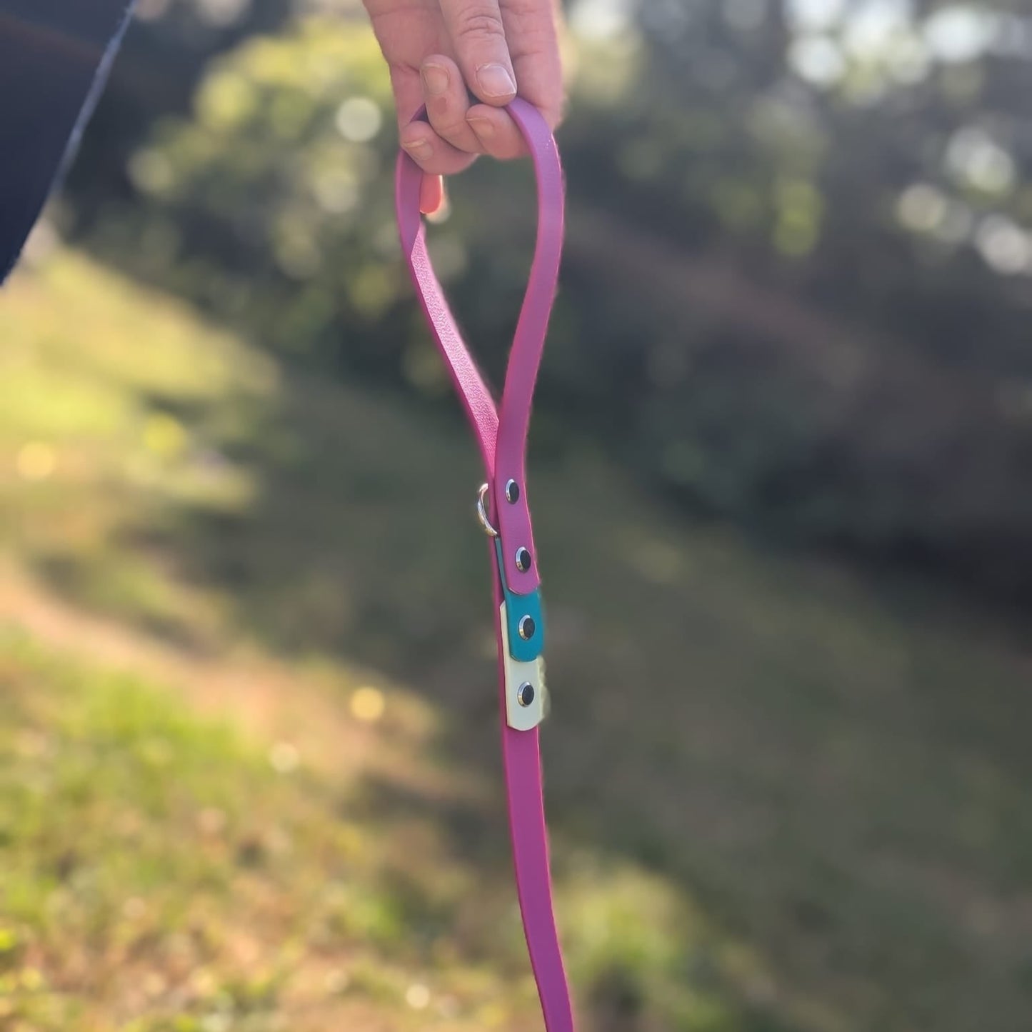 willabean dogleads dogcollars winnieclaspdogcollar winniedoglead hugodogcollar hugodoglead