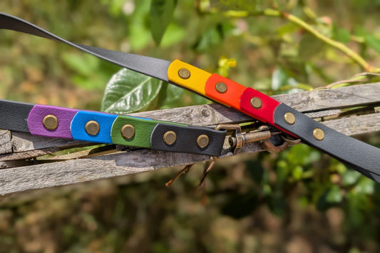 willabean dogleads dogcollars winnieclaspdogcollar winniedoglead hugodogcollar hugodoglead