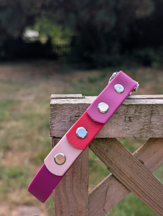 willabean dogleads dogcollars winnieclaspdogcollar winniedoglead hugodogcollar hugodoglead