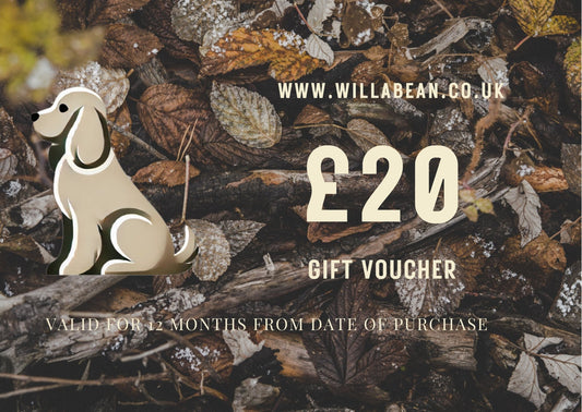 #willabean #dogleads #dogcollars #winnieclaspdogcollar #winniedoglead #hugodogcollar #hugodoglead