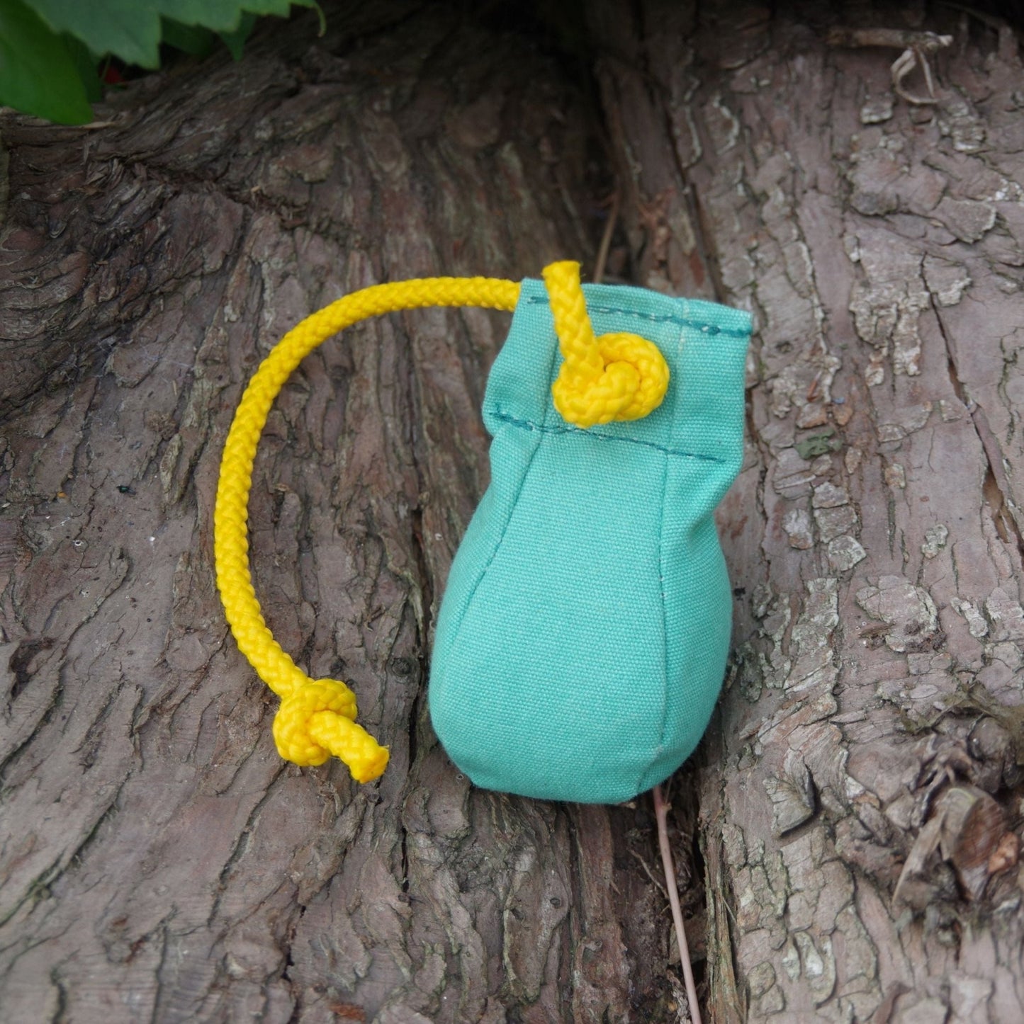 #willabean #dogleads #dogcollars #winnieclaspdogcollar #winniedoglead #hugodogcollar #hugodoglead