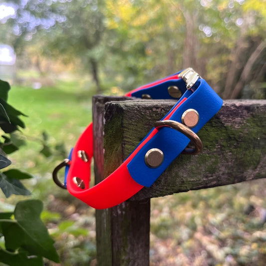 #willabean #dogleads #dogcollars #winnieclaspdogcollar #winniedoglead #hugodogcollar #hugodoglead