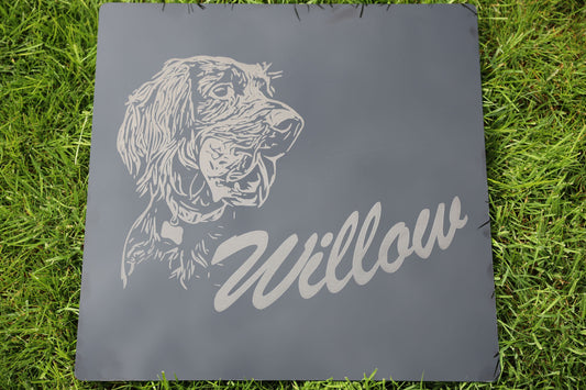 20x20 pet portrait on grass