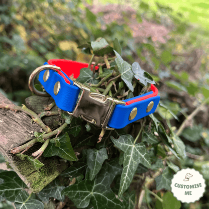 willabean dogleads dogcollars winnieclaspdogcollar winniedoglead hugodogcollar hugodoglead