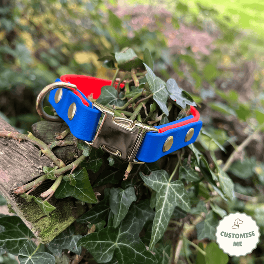 willabean dogleads dogcollars winnieclaspdogcollar winniedoglead hugodogcollar hugodoglead