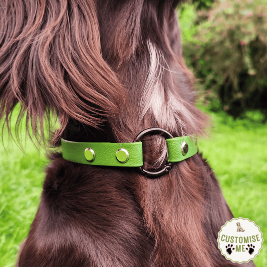 willabean dogleads dogcollars winnieclaspdogcollar winniedoglead hugodogcollar hugodoglead