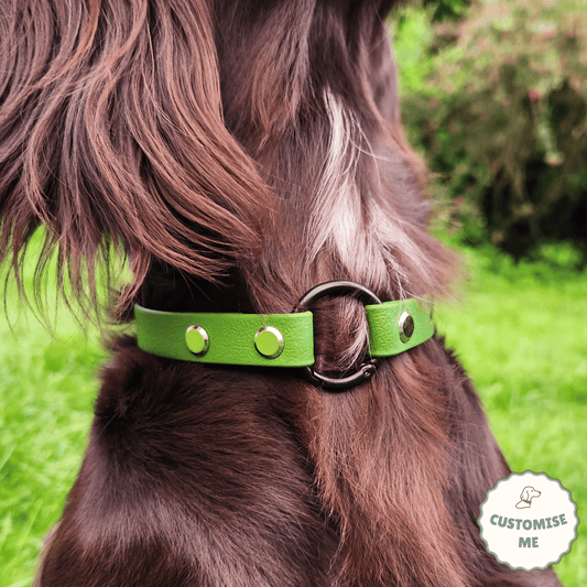 willabean dogleads dogcollars winnieclaspdogcollar winniedoglead hugodogcollar hugodoglead