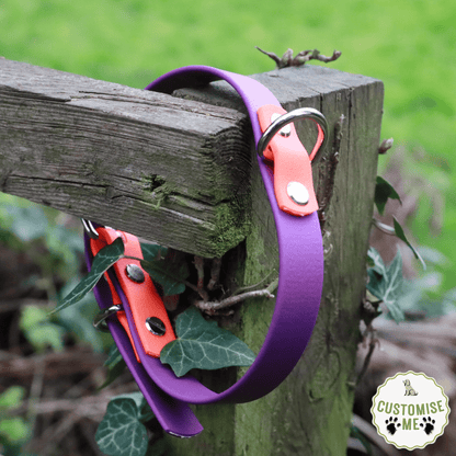 willabean dogleads dogcollars winnieclaspdogcollar winniedoglead hugodogcollar hugodoglead