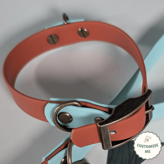 willabean dogleads dogcollars winnieclaspdogcollar winniedoglead hugodogcollar hugodoglead