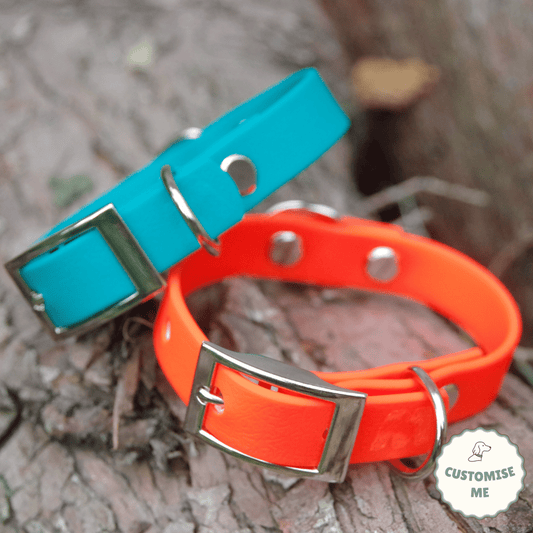 willabean dogleads dogcollars winnieclaspdogcollar winniedoglead hugodogcollar hugodoglead