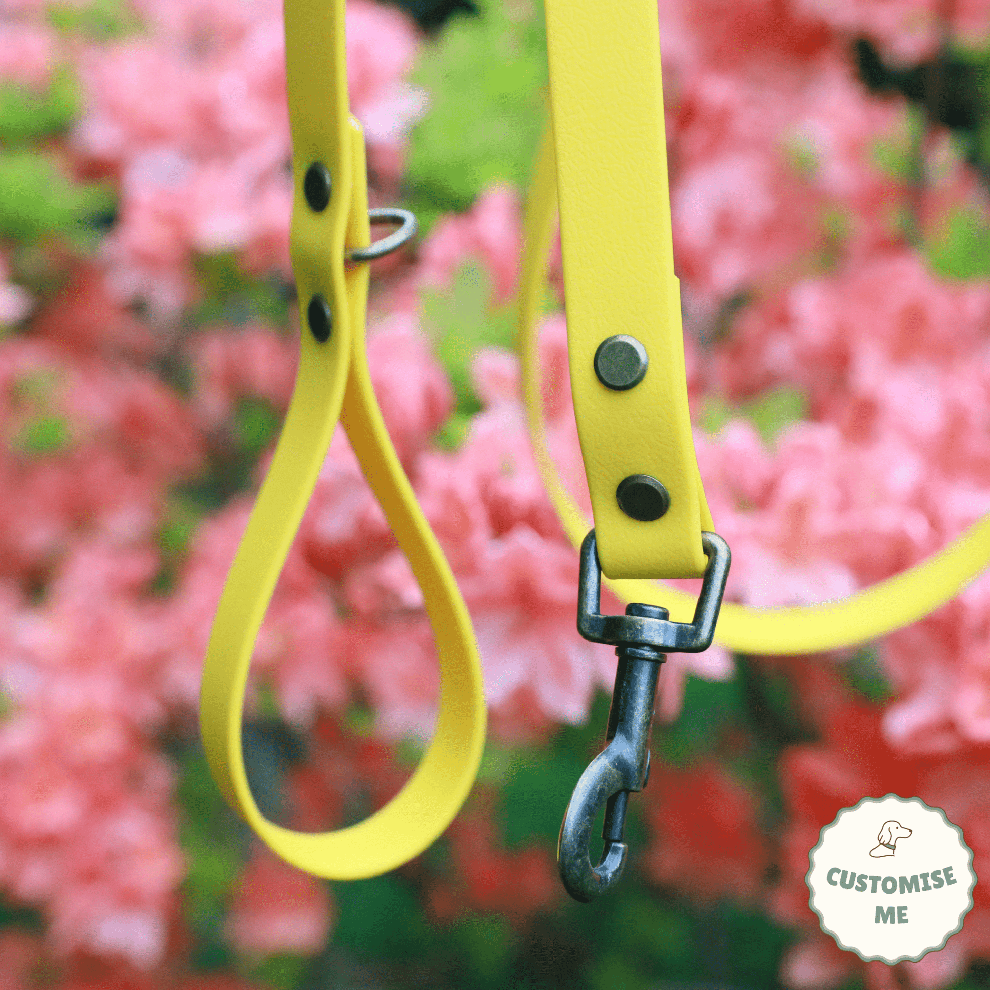 willabean dogleads dogcollars winnieclaspdogcollar winniedoglead hugodogcollar hugodoglead