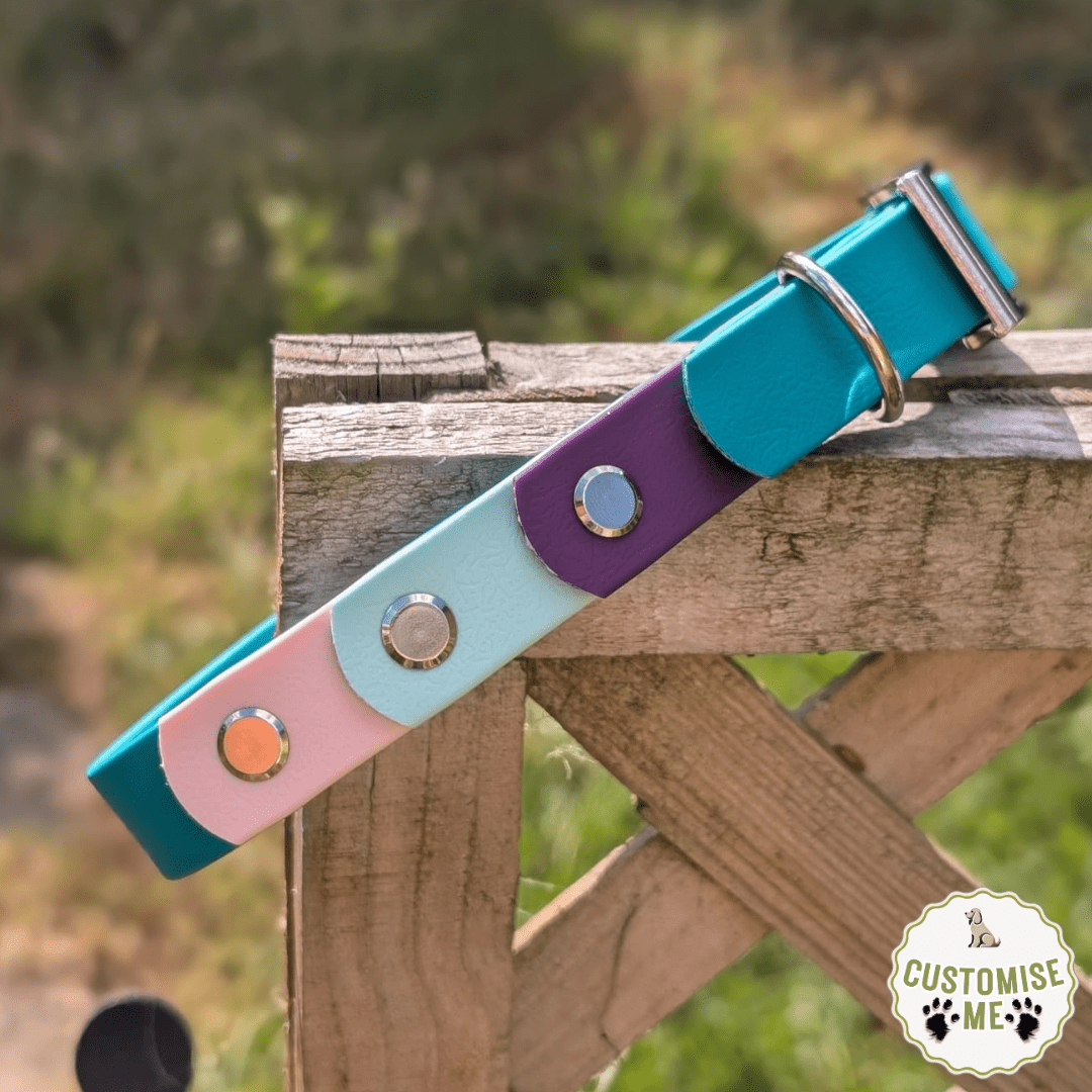 willabean dogleads dogcollars winnieclaspdogcollar winniedoglead hugodogcollar hugodoglead