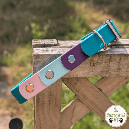 willabean dogleads dogcollars winnieclaspdogcollar winniedoglead hugodogcollar hugodoglead