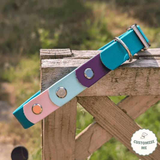 willabean dogleads dogcollars winnieclaspdogcollar winniedoglead hugodogcollar hugodoglead