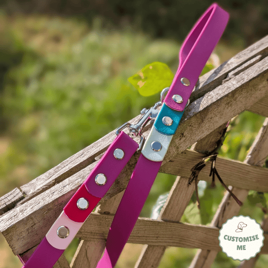 willabean dogleads dogcollars winnieclaspdogcollar winniedoglead hugodogcollar hugodoglead