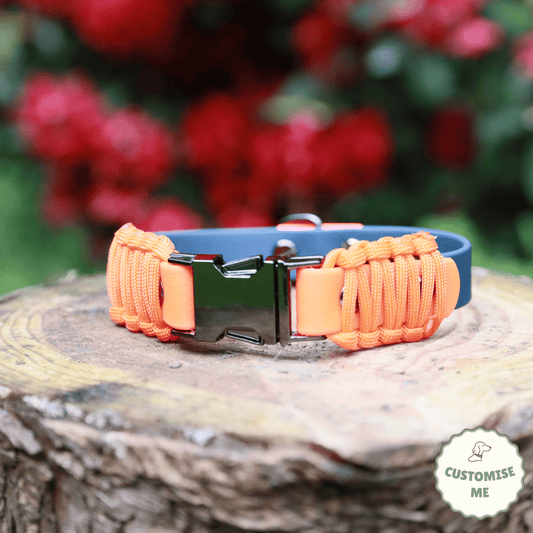 willabean dogleads dogcollars winnieclaspdogcollar winniedoglead hugodogcollar hugodoglead