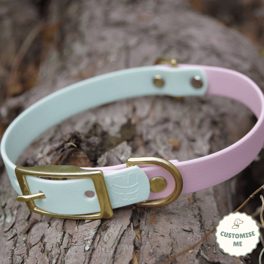 willabean dogleads dogcollars winnieclaspdogcollar winniedoglead hugodogcollar hugodoglead