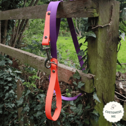 willabean dogleads dogcollars winnieclaspdogcollar winniedoglead hugodogcollar hugodoglead