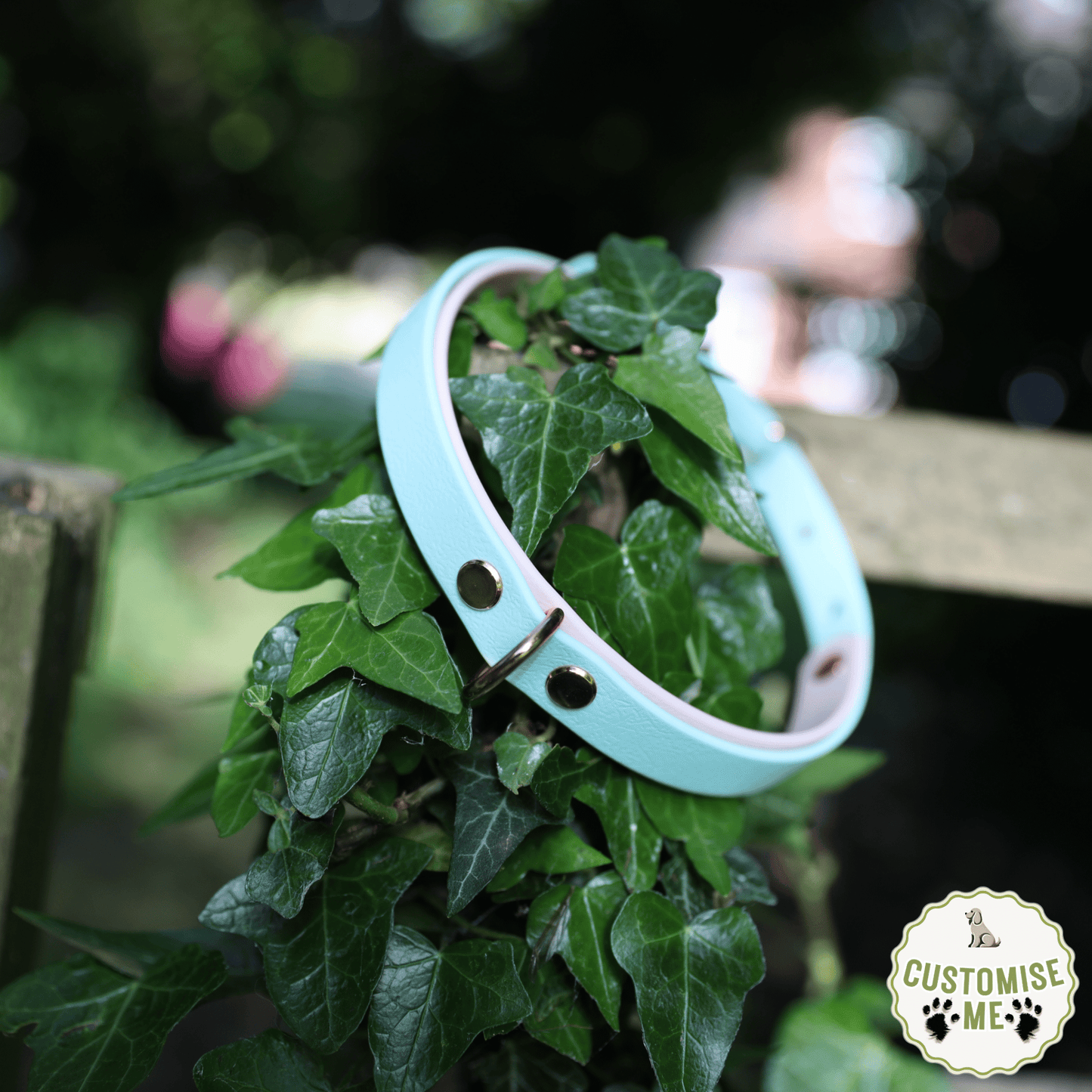 willabean dogleads dogcollars winnieclaspdogcollar winniedoglead hugodogcollar hugodoglead