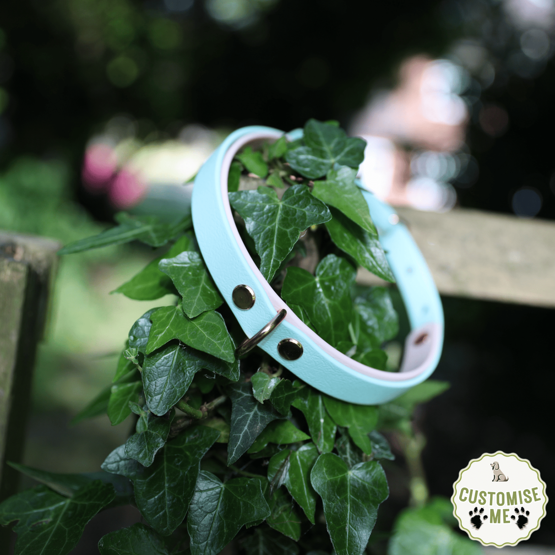 willabean dogleads dogcollars winnieclaspdogcollar winniedoglead hugodogcollar hugodoglead