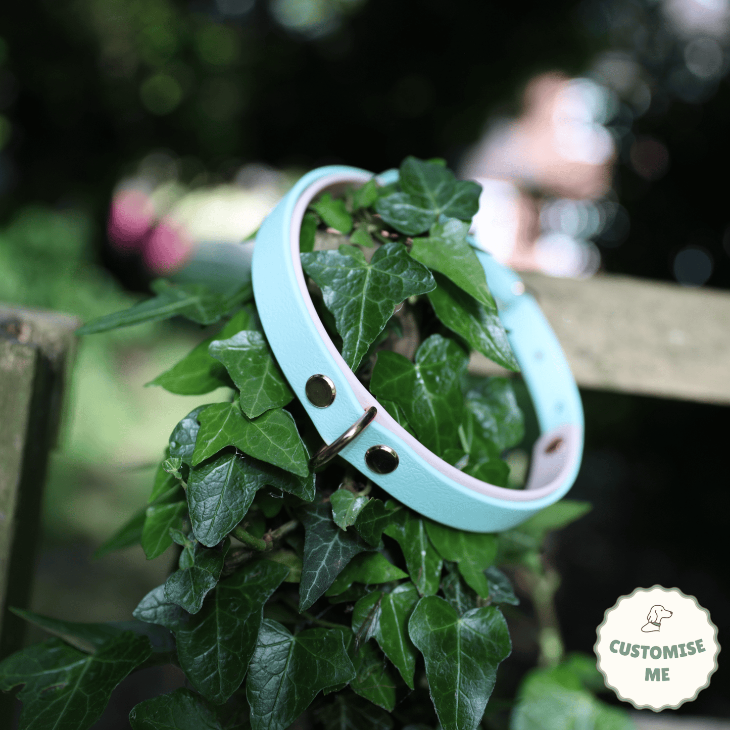 willabean dogleads dogcollars winnieclaspdogcollar winniedoglead hugodogcollar hugodoglead