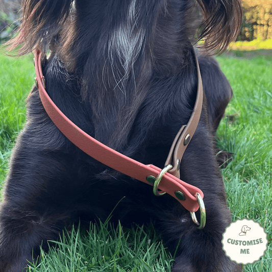 willabean dogleads dogcollars winnieclaspdogcollar winniedoglead hugodogcollar hugodoglead