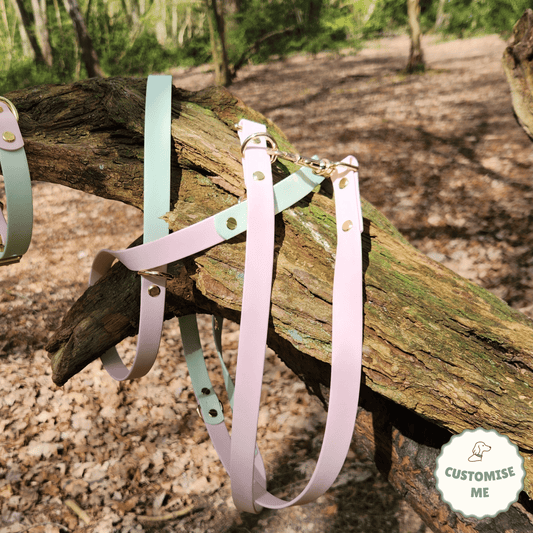 willabean dogleads dogcollars winnieclaspdogcollar winniedoglead hugodogcollar hugodoglead