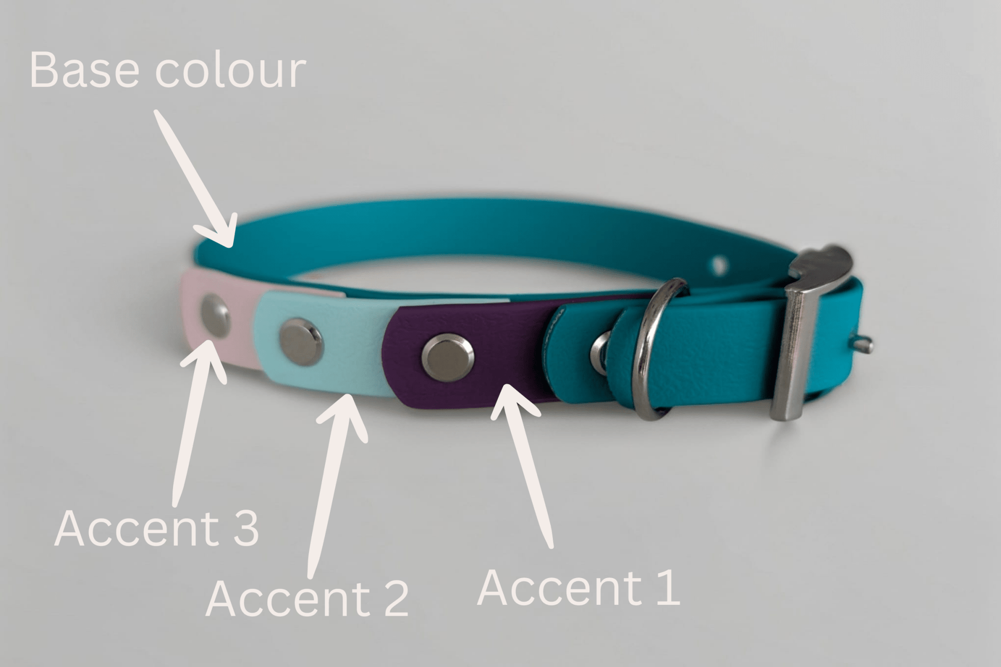 willabean dogleads dogcollars winnieclaspdogcollar winniedoglead hugodogcollar hugodoglead