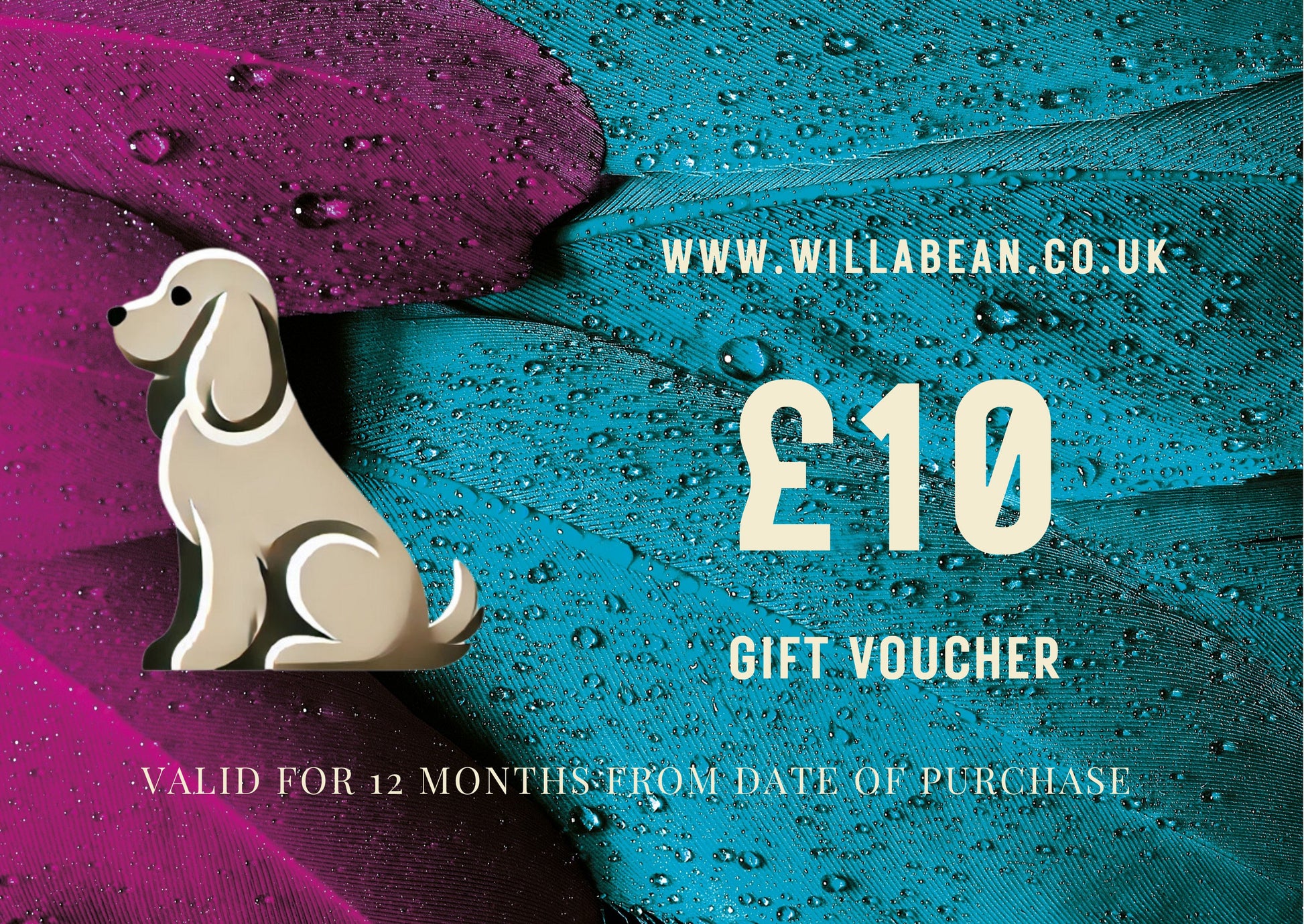 Feather Design Gift Voucher - £10 Front
