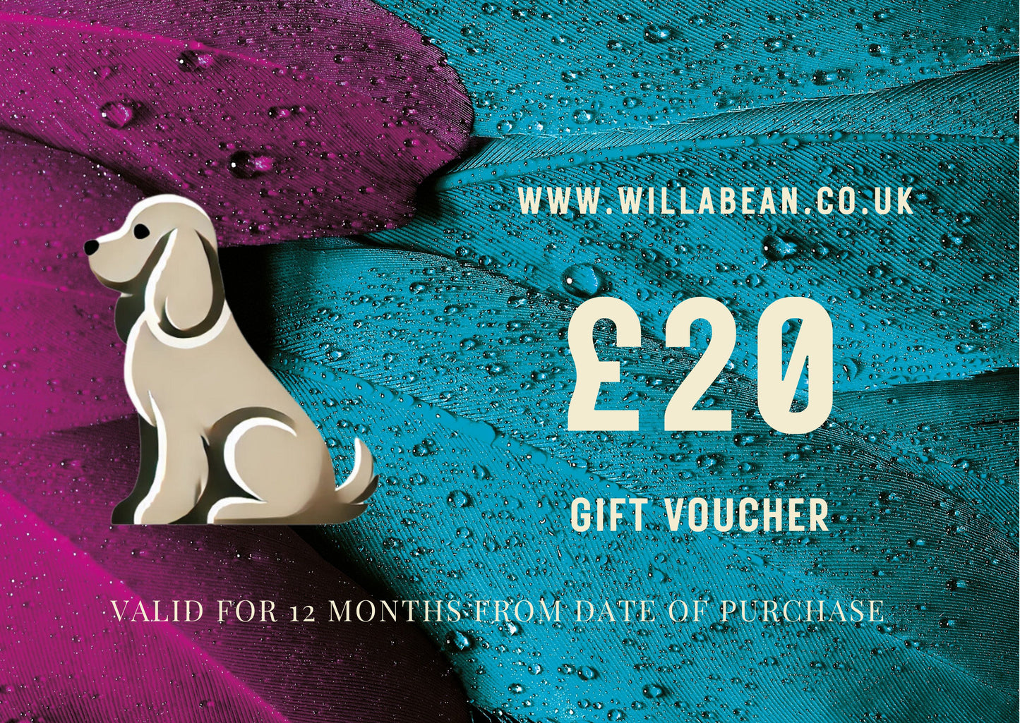 Feather Design Gift Voucher - £20 Front