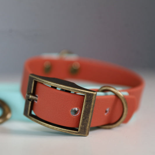 willabean dogleads dogcollars winnieclaspdogcollar winniedoglead hugodogcollar hugodoglead