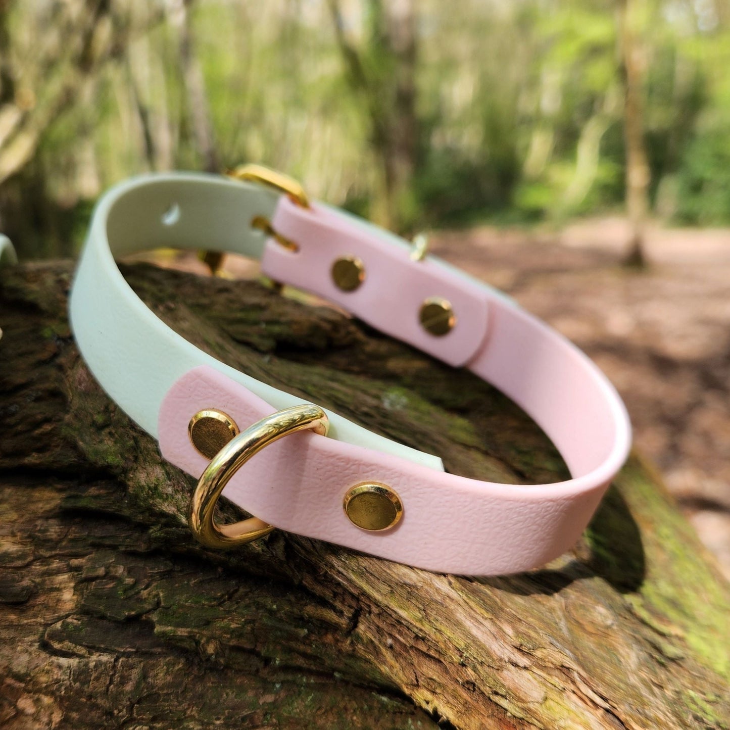 Mabel Dog Collar Pastel Pink and Mint Green - Back D-Ring
