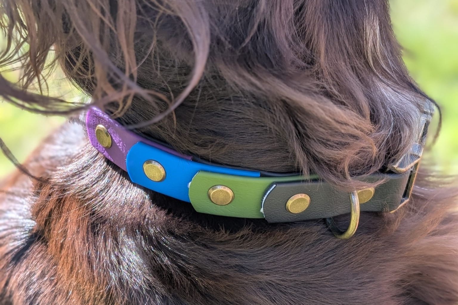 willabean dogleads dogcollars winnieclaspdogcollar winniedoglead hugodogcollar hugodoglead