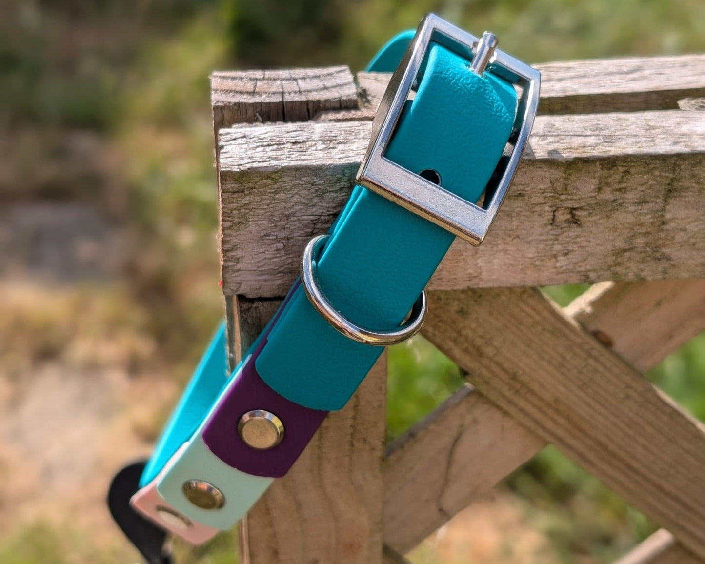 willabean dogleads dogcollars winnieclaspdogcollar winniedoglead hugodogcollar hugodoglead