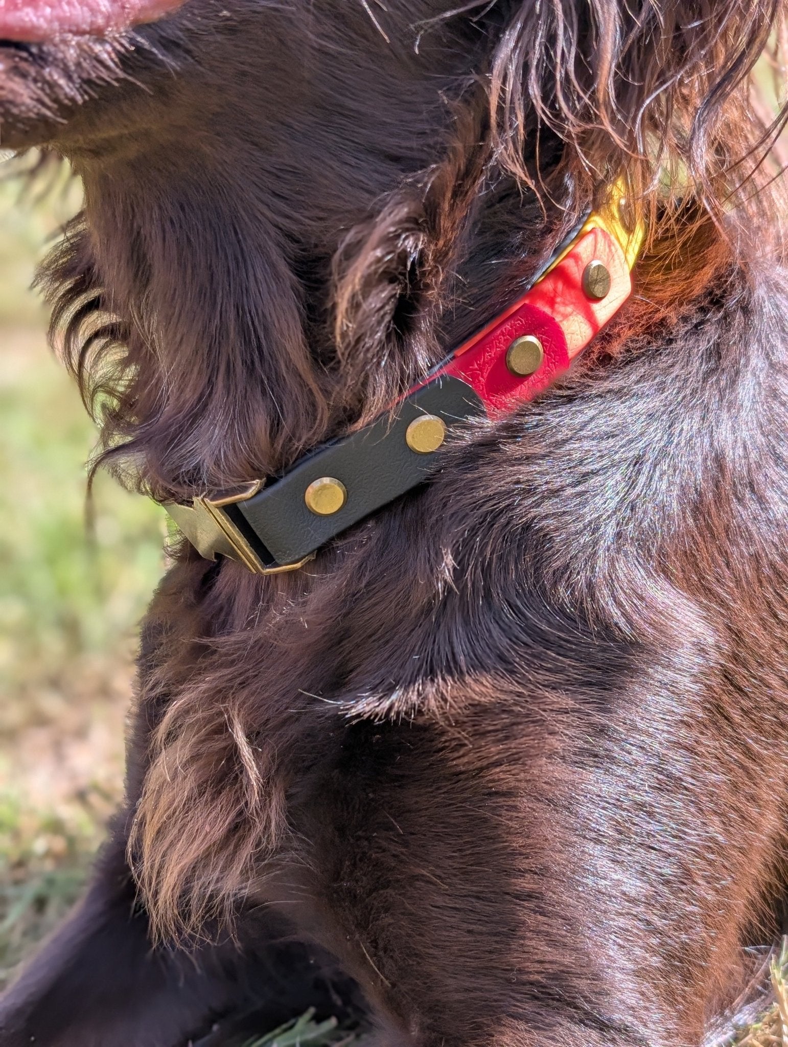 willabean dogleads dogcollars winnieclaspdogcollar winniedoglead hugodogcollar hugodoglead